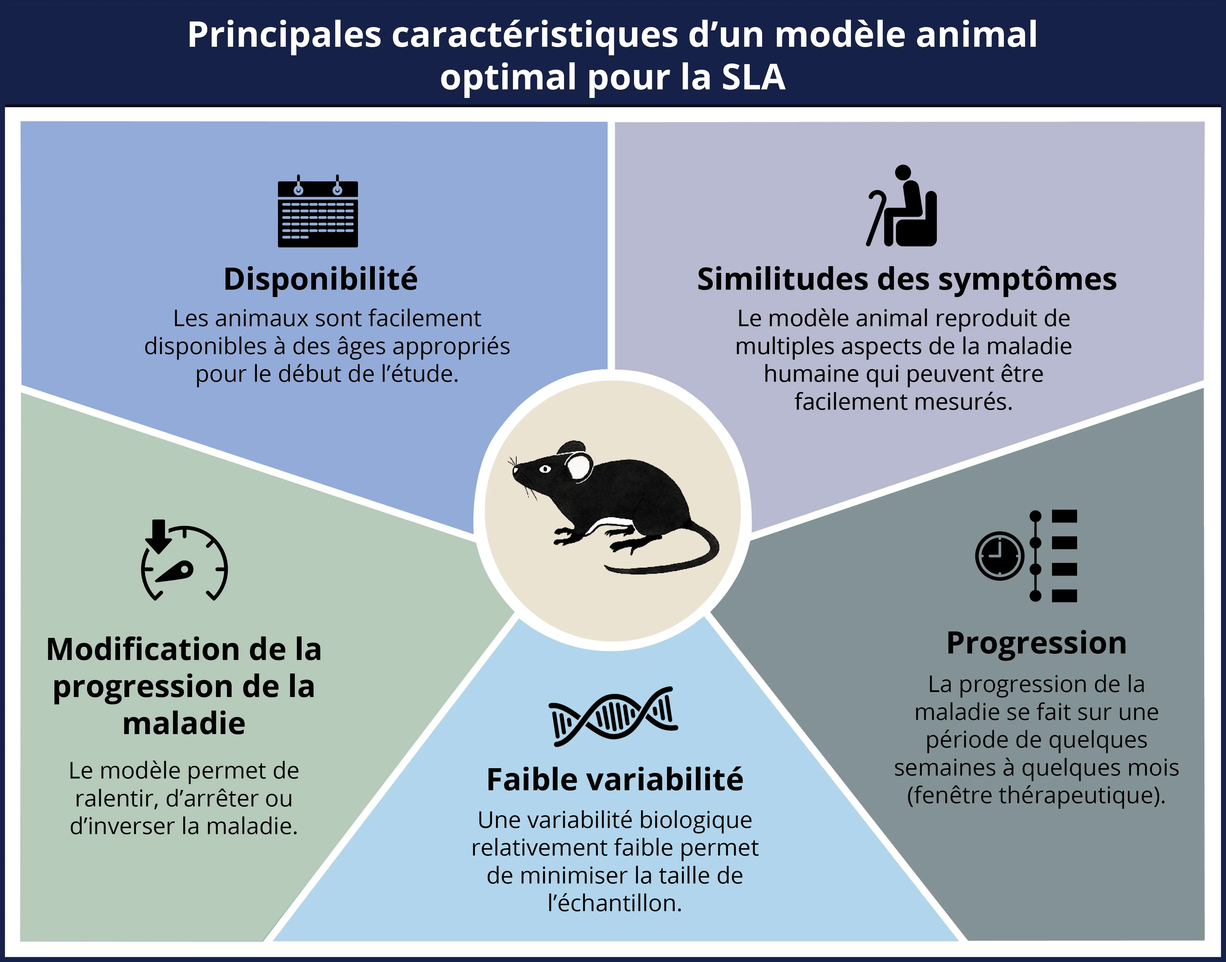 Principales caractéristiques d'un modèle optimal de SLA