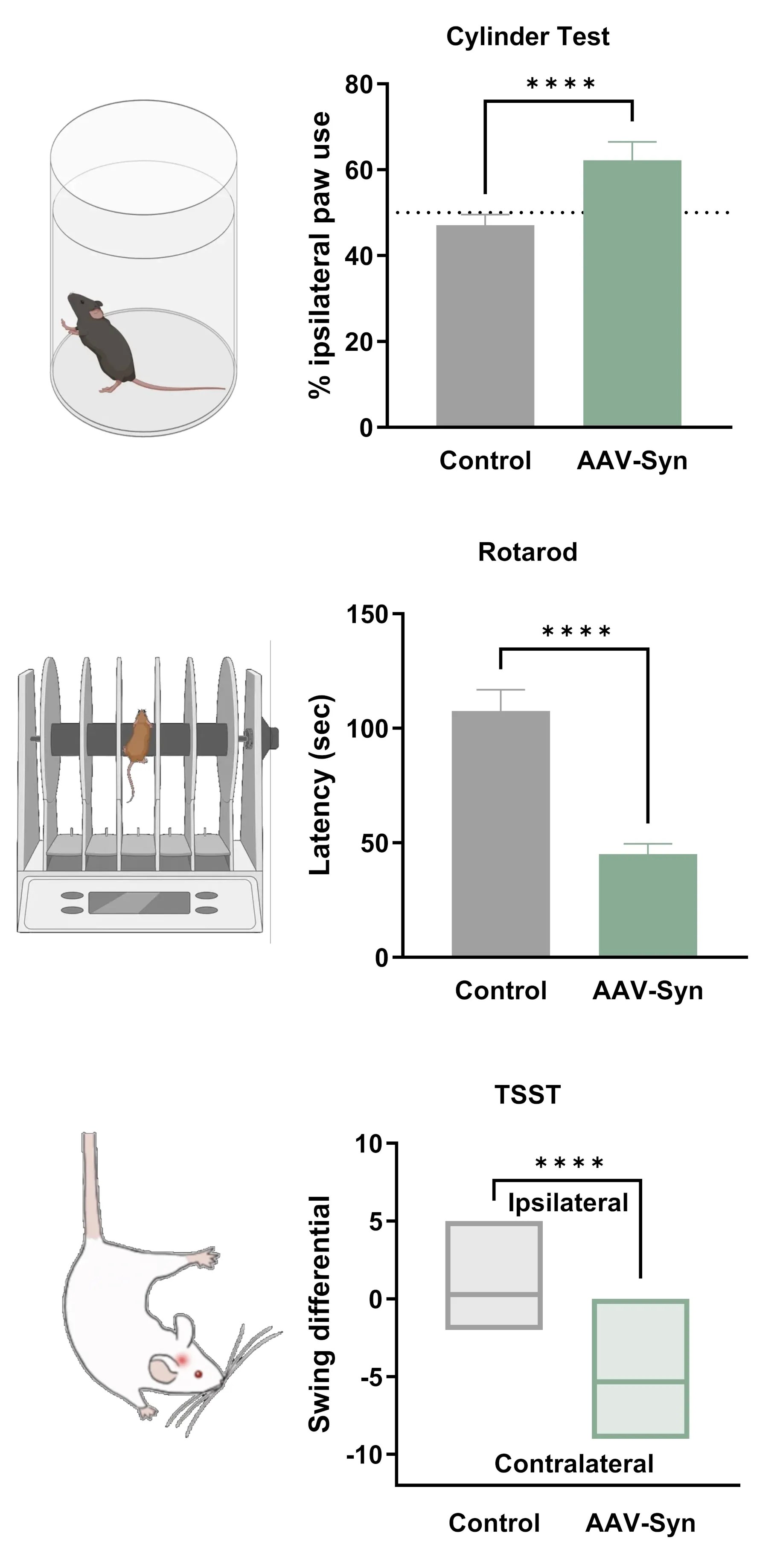 Graphs showing effects of loss of dopaminergic innervation on behavioral tests