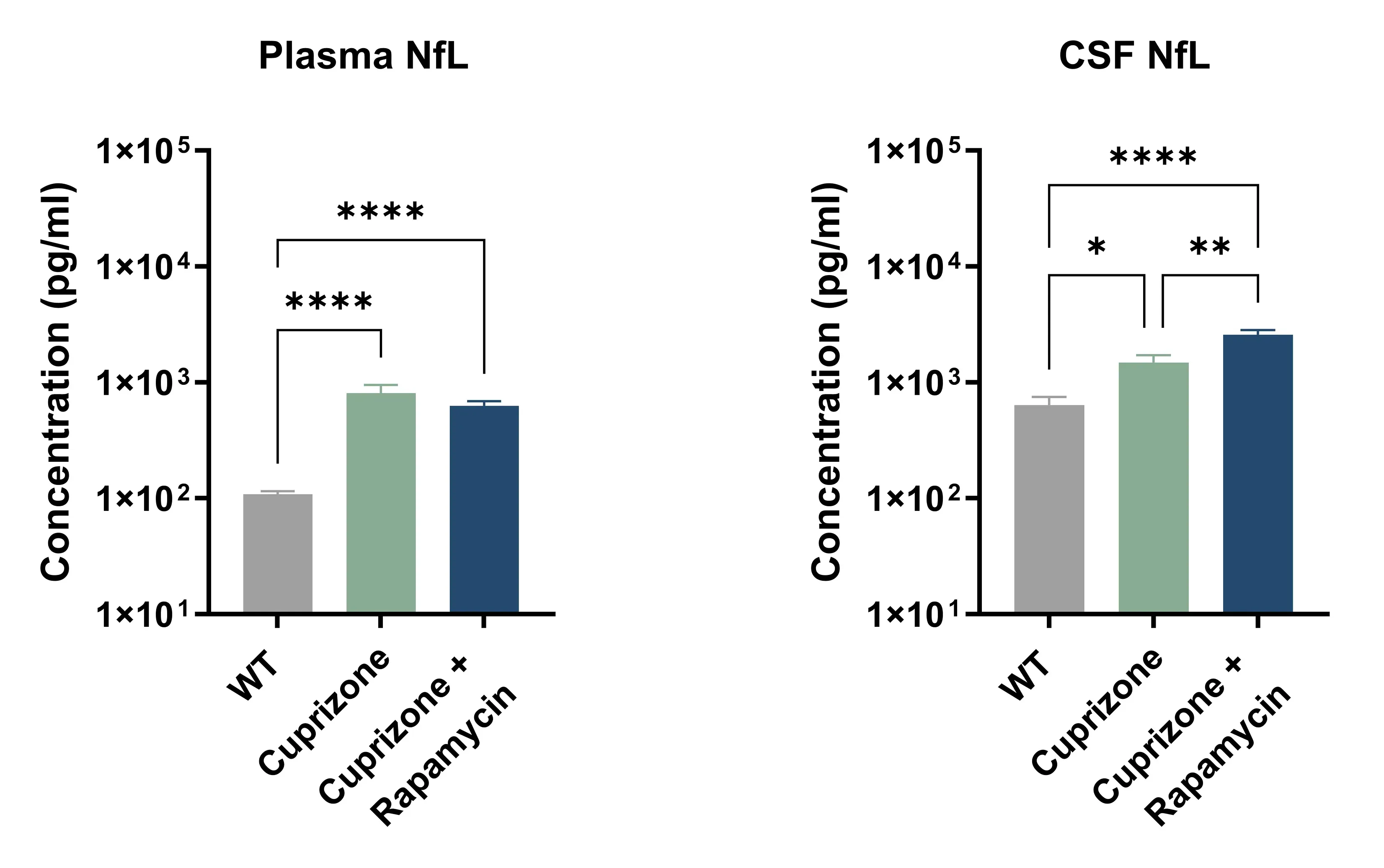 Plasma and CSF - NfL levels from Wildtype, Cuprizone, and Cuprizone plus Rapamycin