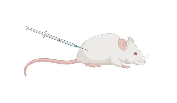 Représentation graphique de l'injection d'une souris à l'aide d'une seringue, procédure courante en recherche biomédicale pour le dosage des modèles de rongeurs.