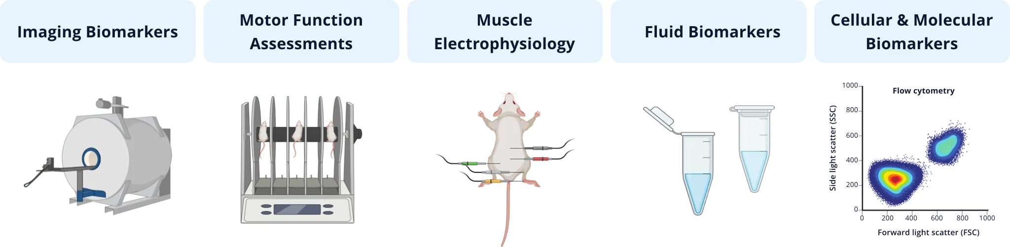 Measures to evaluate efficacy in preclinical ALS studies