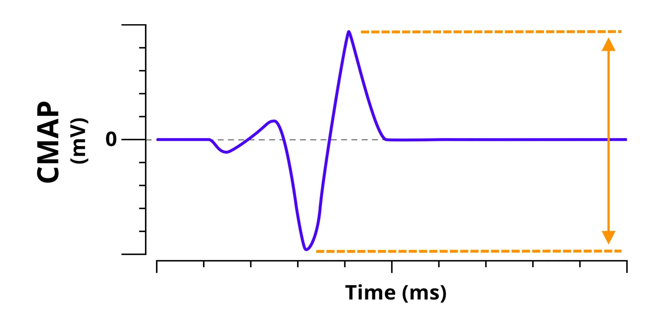 Electrophysiology - CMAP graph