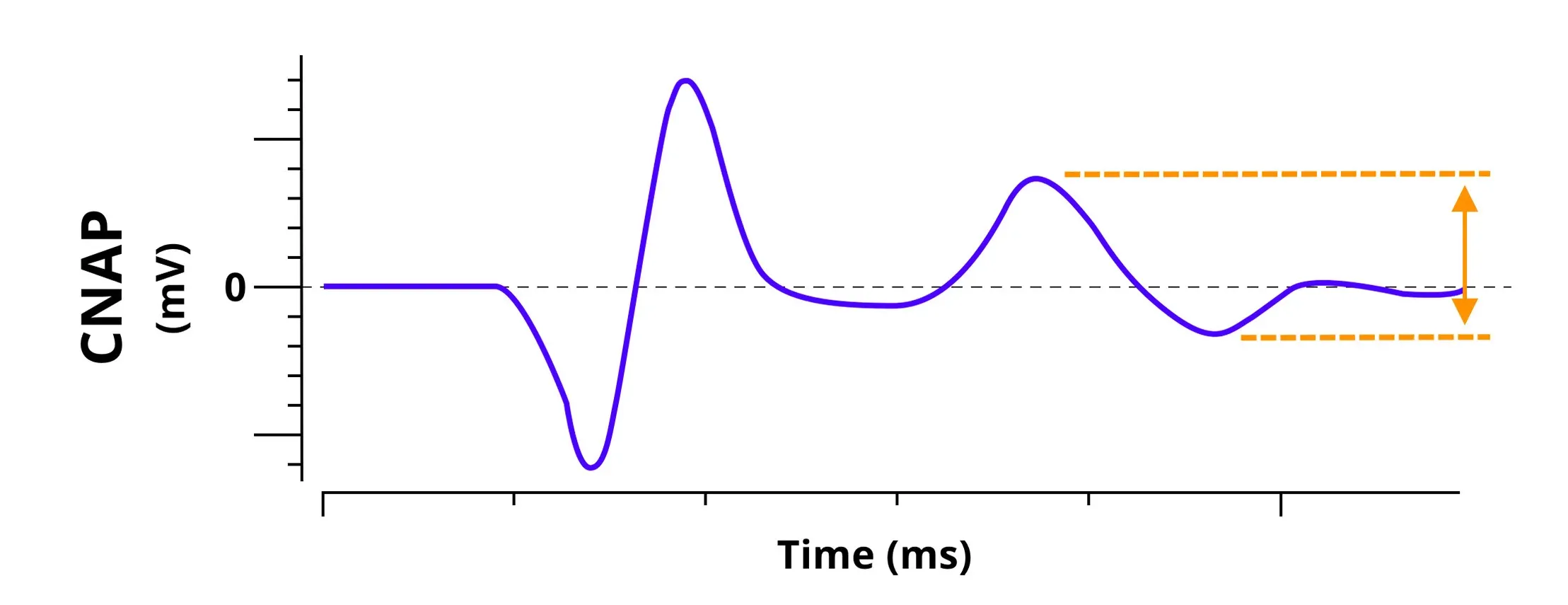 Electrophysiology - CNAP Graph