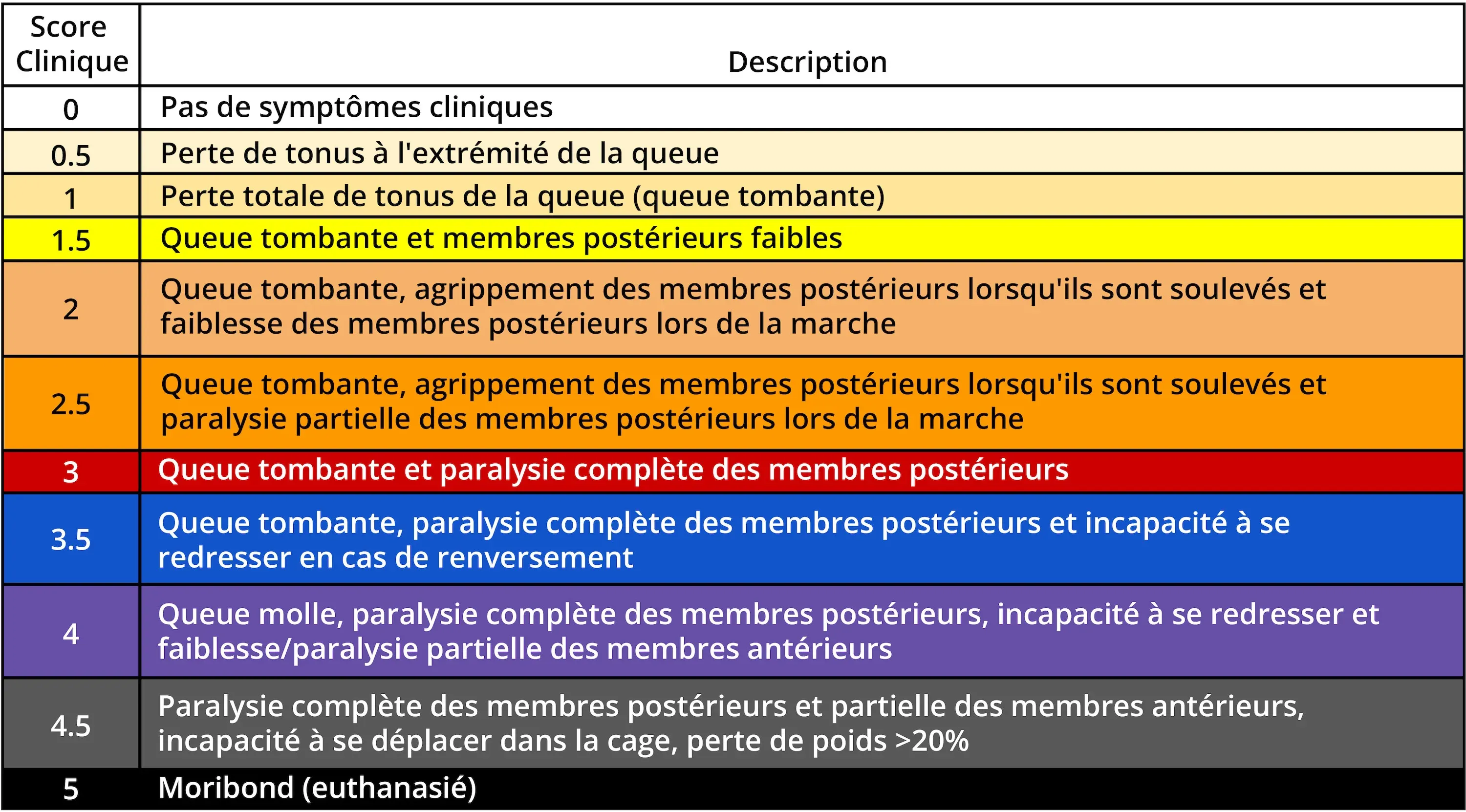 SP - Échelle de score de l’EAE