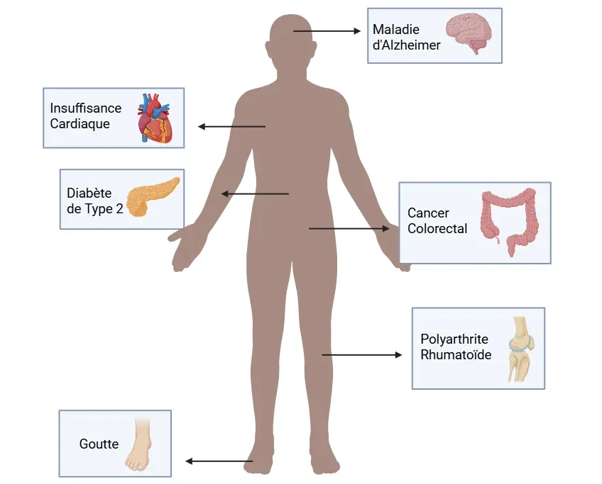 Tableau des inflammasomes