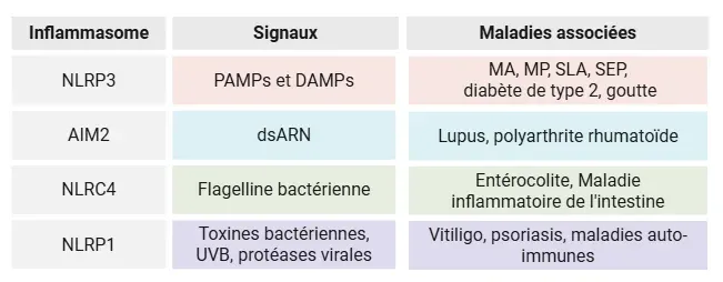 Tableau des inflammasomes