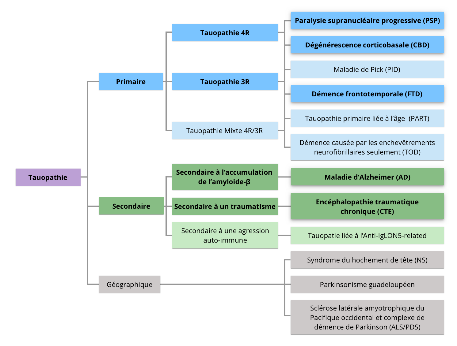 Classification hiérarchique des tauopathies