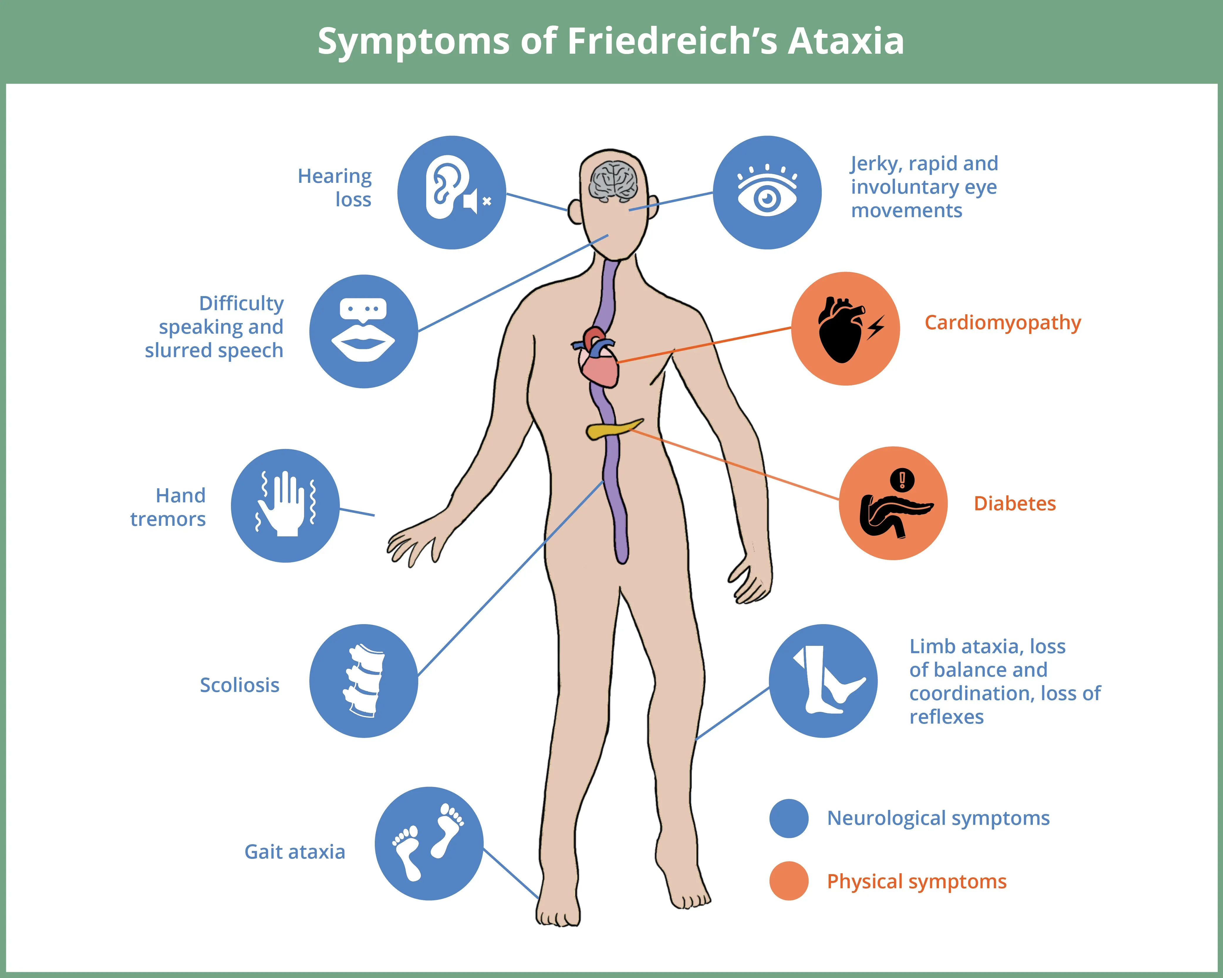 FRDA Symptoms