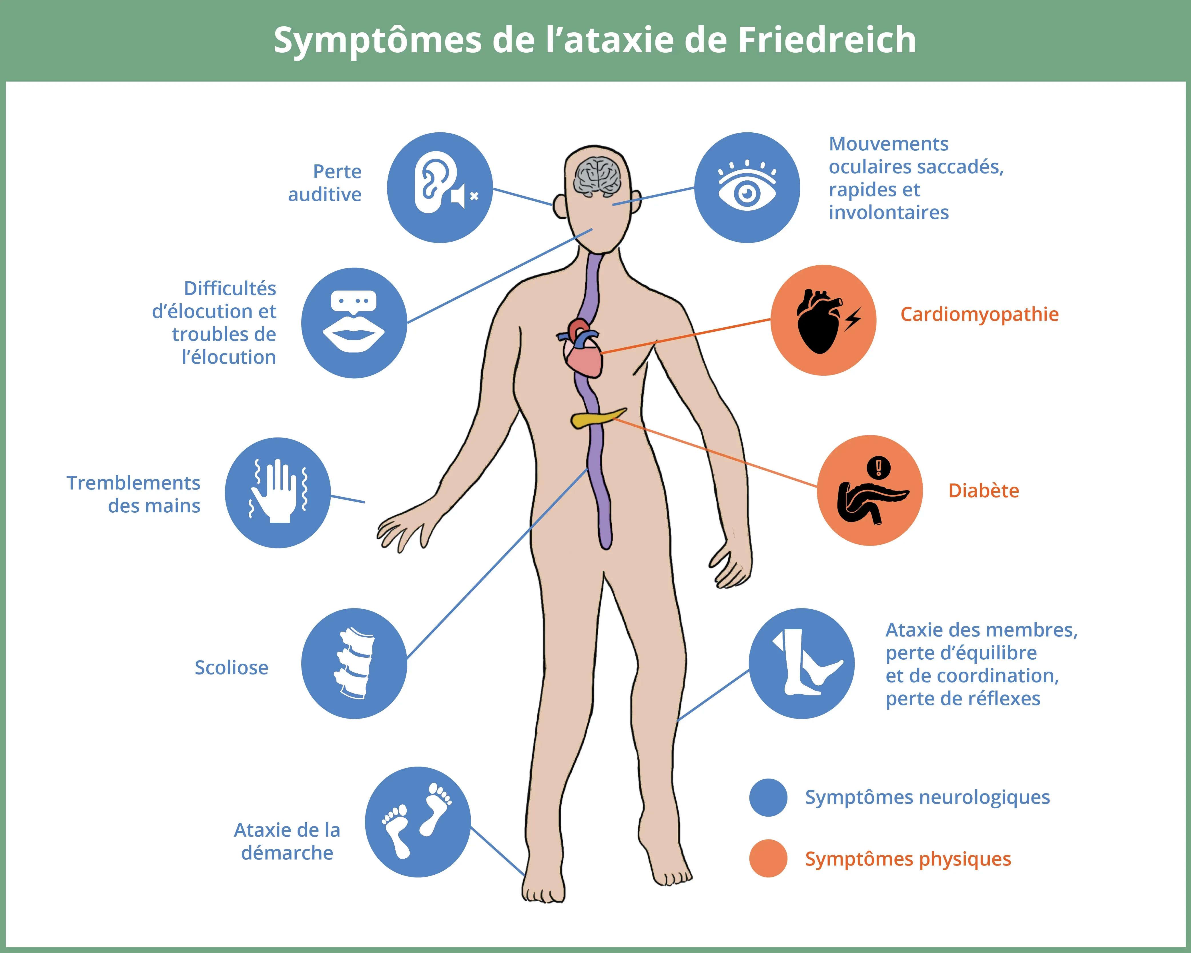 FRDA Symptômes