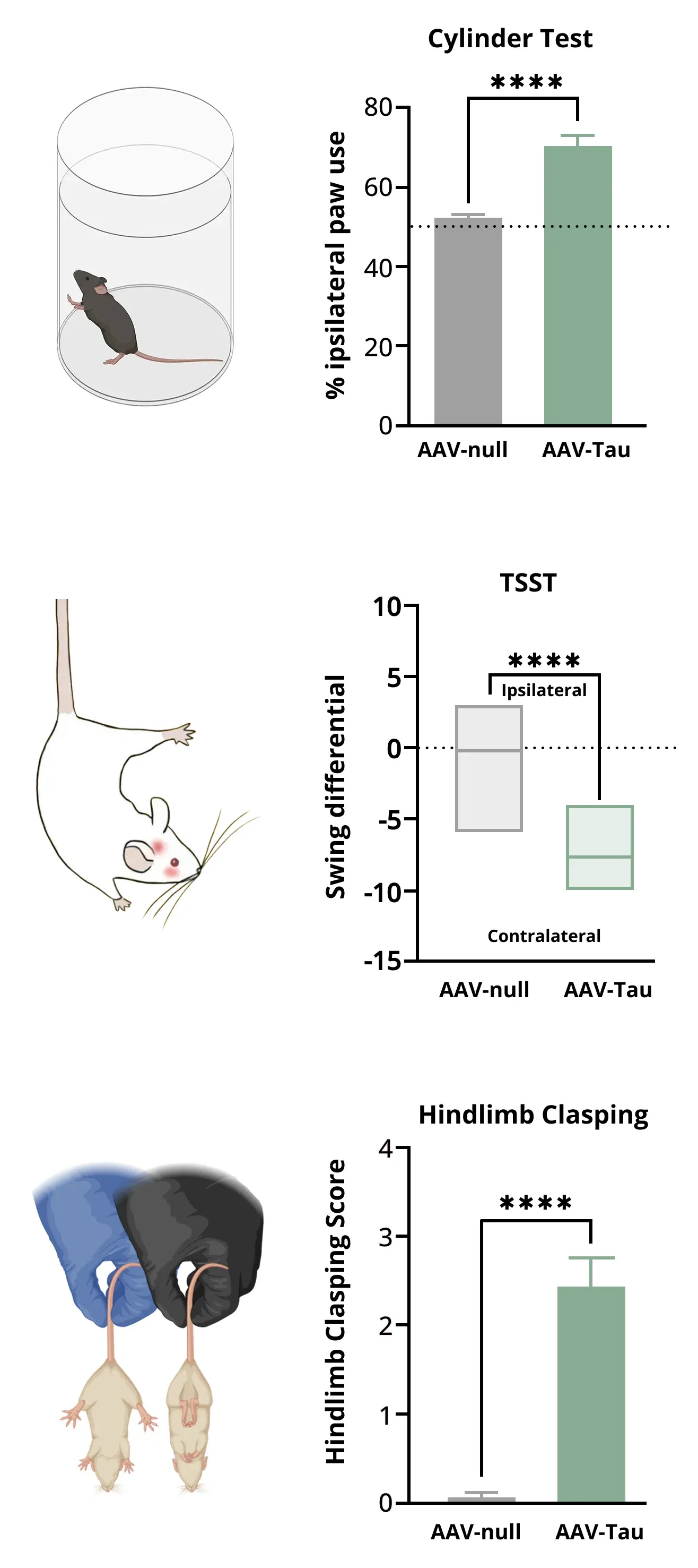 Loss of dopaminergic innervation - tests