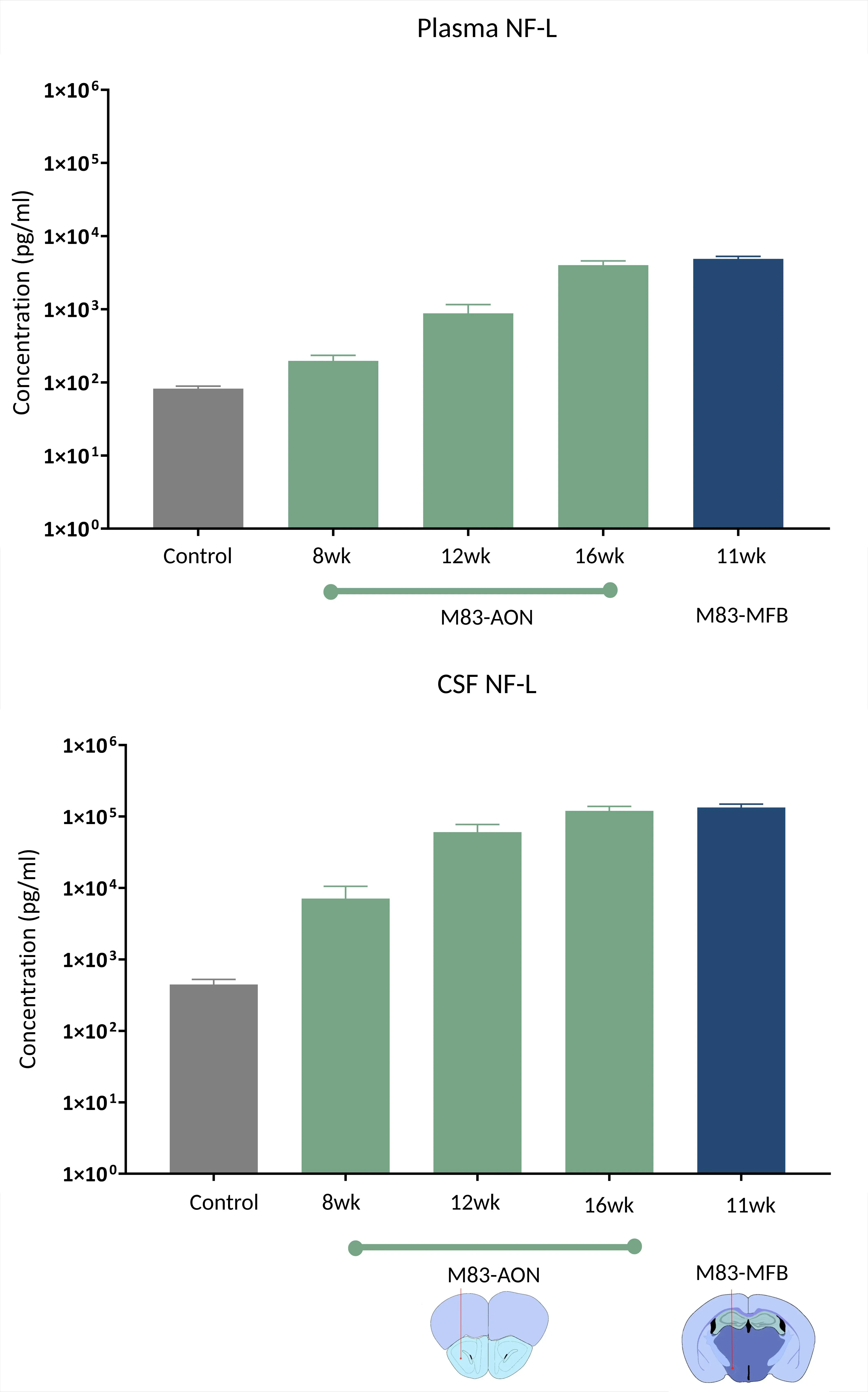 A plot of NF-L in blood and CSF from synuclein PFF mice