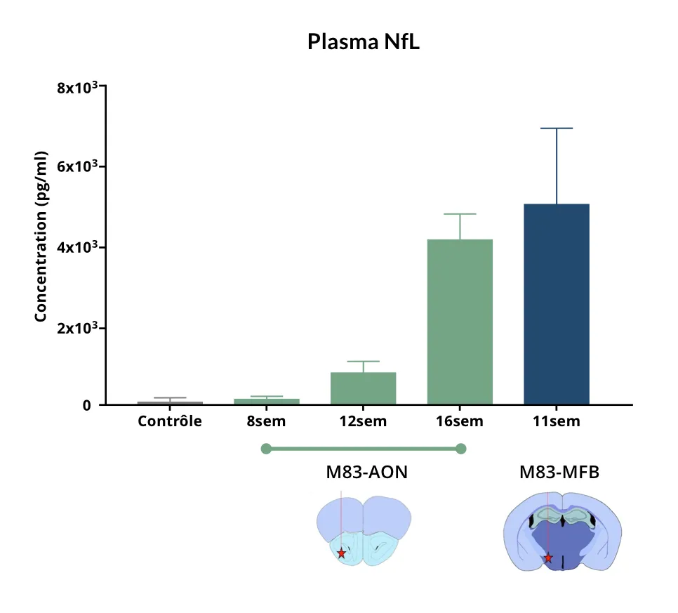 Concentrations plasmatiques de NfL chez les souris atteintes de la maladie de Parkinson