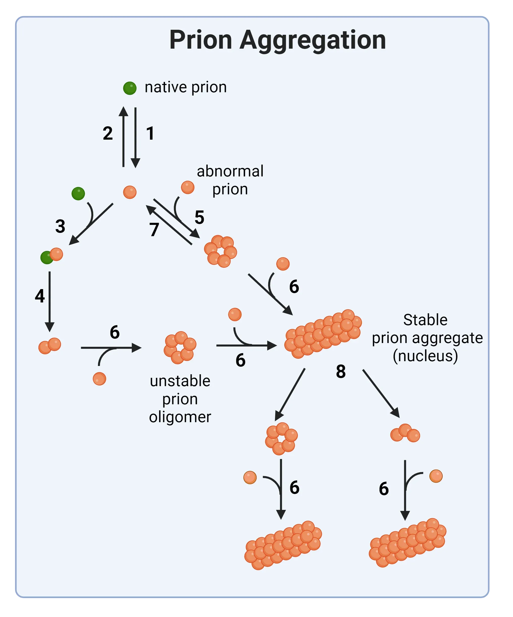 Prion Aggregation