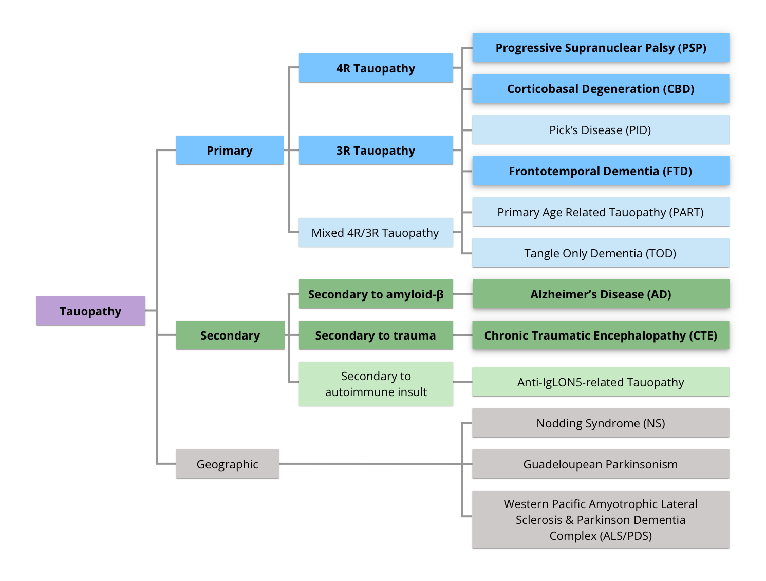 Hierarchical classification of tauopathies