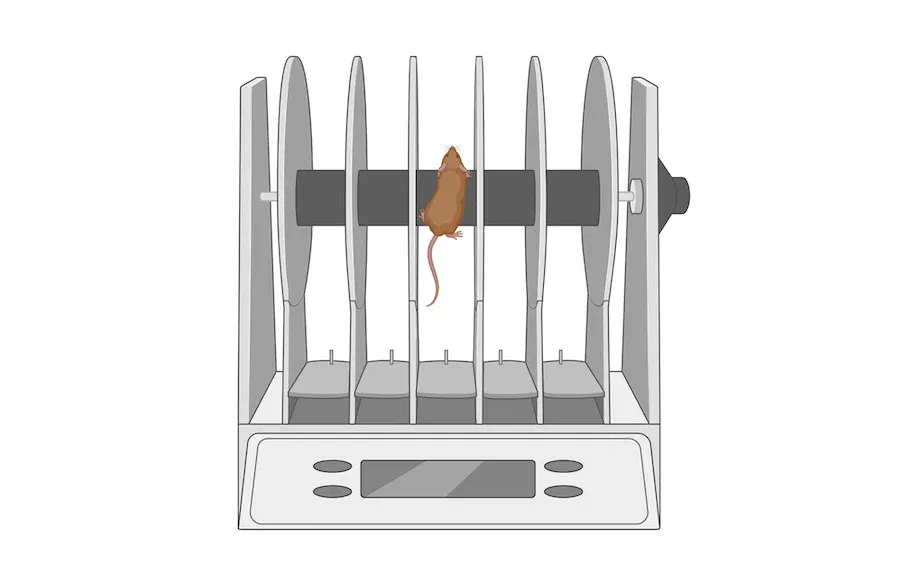 Illustration numérique ou icône d'un Rota-rod - tige de rotation