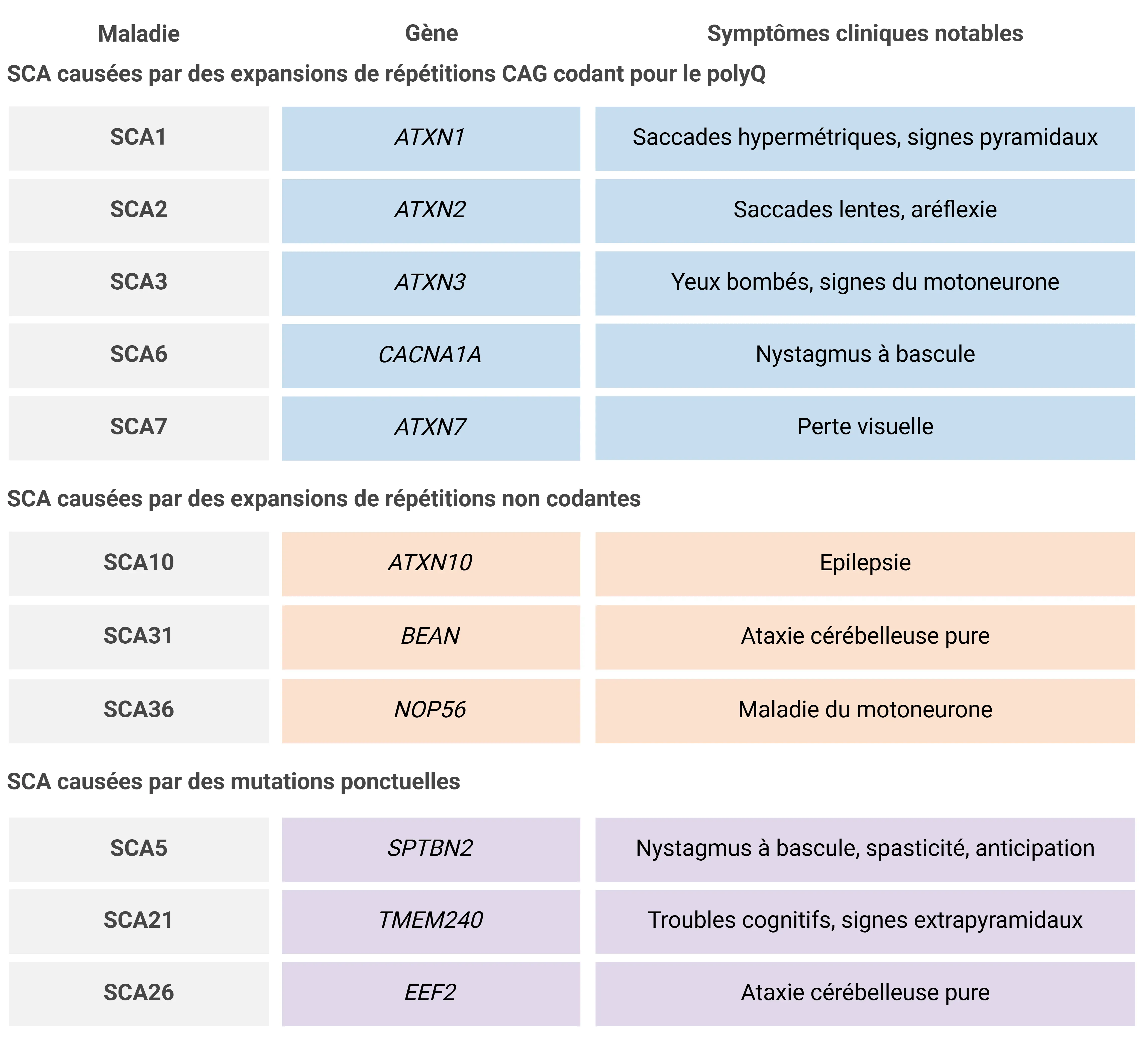 Symptômes de l'ataxie spinocérébelleuse