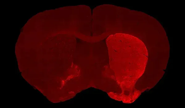 THSTR B203-TR-L006 RND083S208