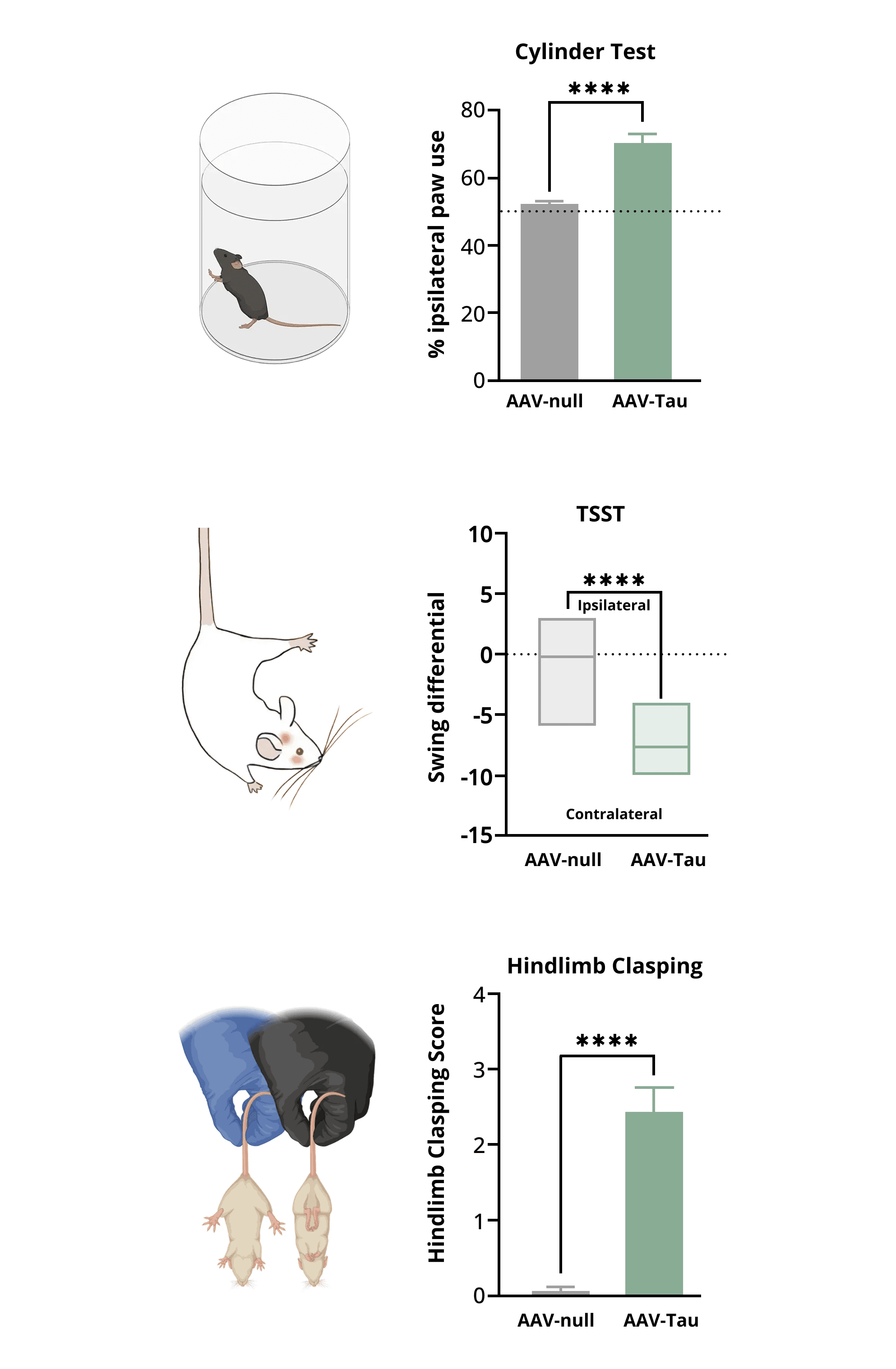 Loss of dopaminergic innervation - tests