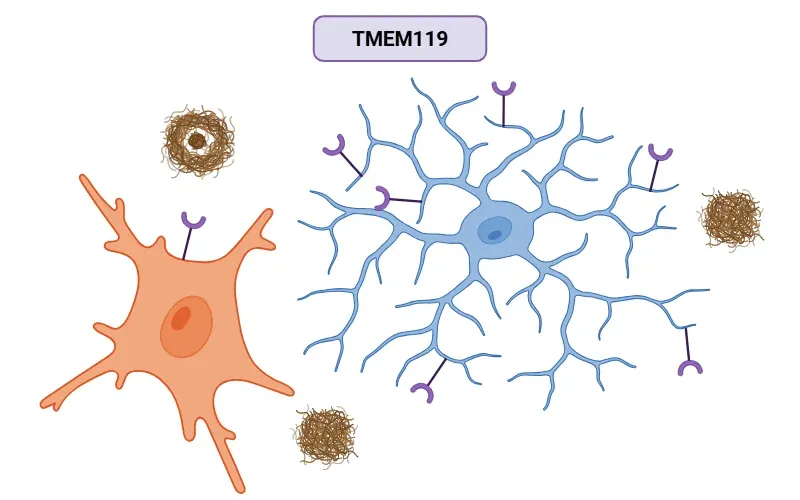 各疾患モデル動物の作製と病態・薬効評価 実験医学増刊 Vol.41 No.15 マルチオミクス データ駆動時代の