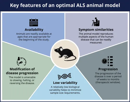 各疾患モデル動物の作製と病態・薬効評価 ALSマウスモデルを用いた創薬