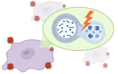 Biospective | 前臨床神経科学CRO
