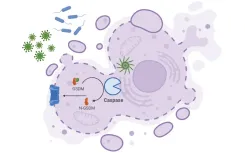 thumbnail_Pyroptosis_Thumbnail